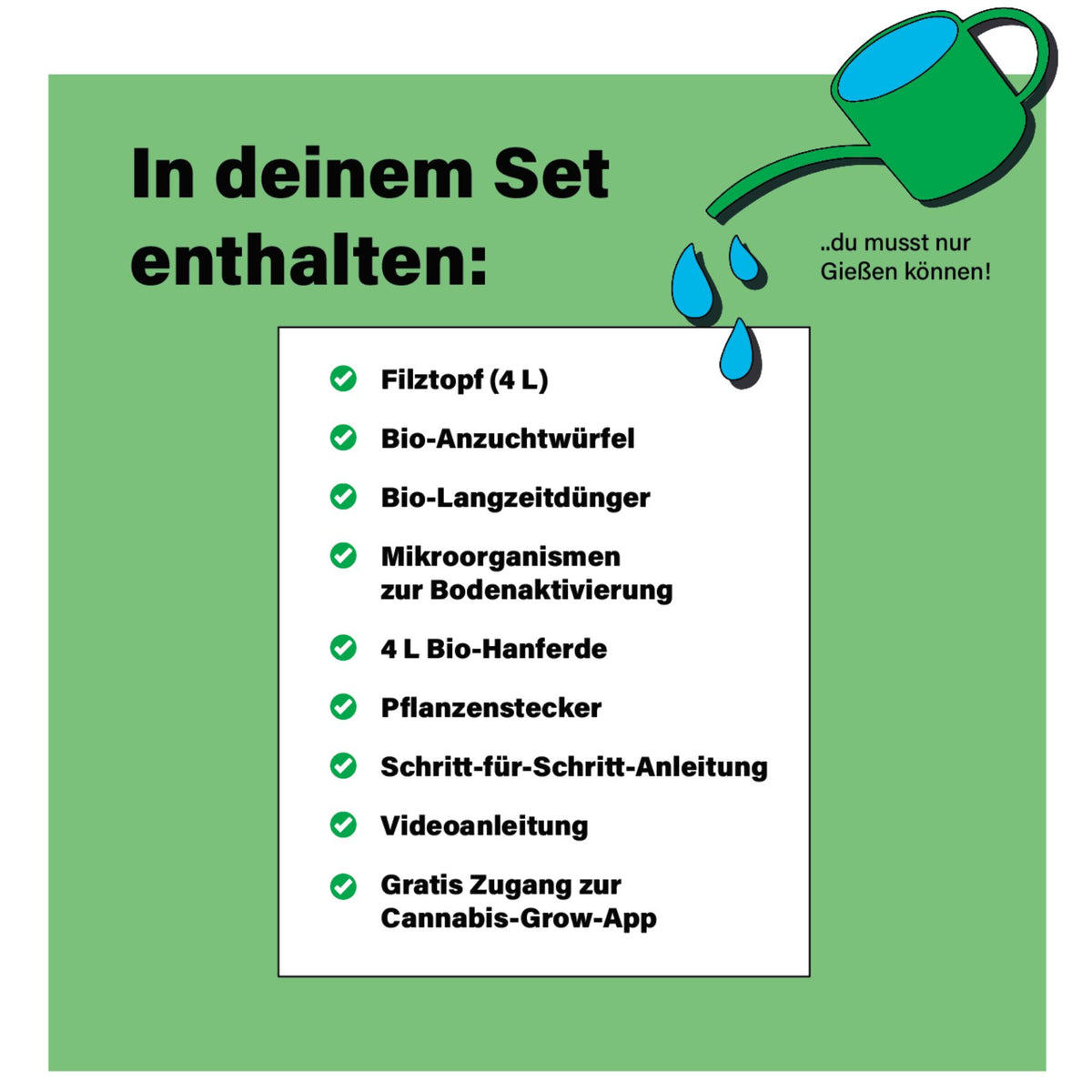 Easy-Growkit BudVoyage - Growset speziell für Automatics - perfekt für Anfänger!