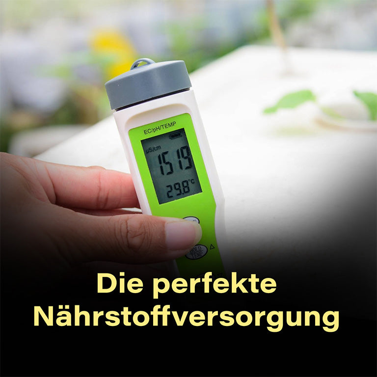 Cannabis, Hanf, Nährstoffversorgung,  EC-Wert
