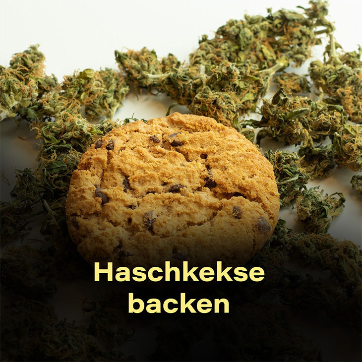 hasch, haschkekse, backen, rezept, hanf