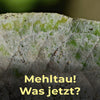 Mehltau, Hanf, Hilfe, Tipps, Ws tun