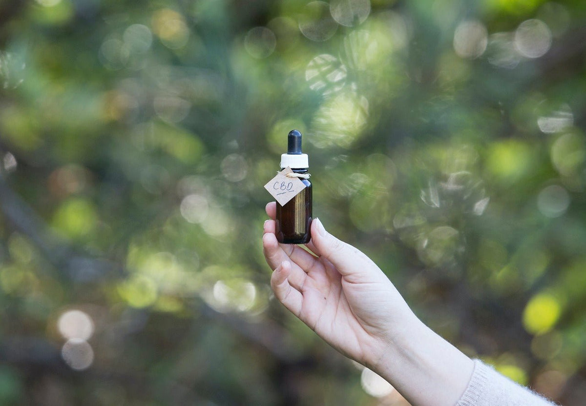Was ist CBD? Wirkung, Anwendung und Vorteile für das Wohlbefinden - HANS Brainfood