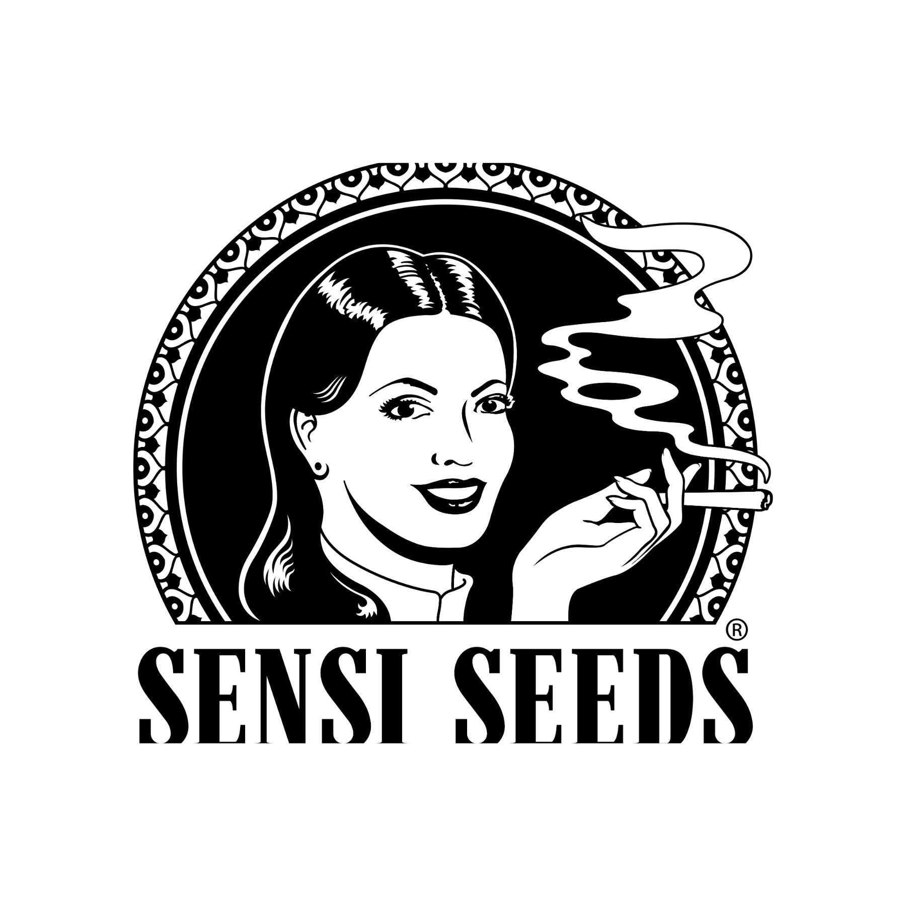 Hanfsamen von Sensi Seeds - HANS Brainfood