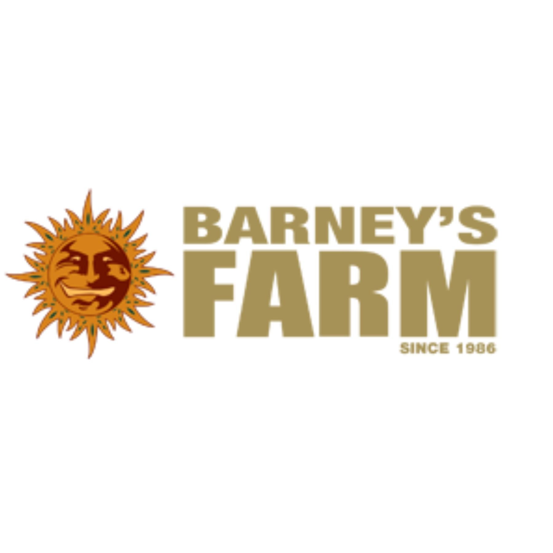 Hanfsamen von Barneys Farm - HANS Brainfood