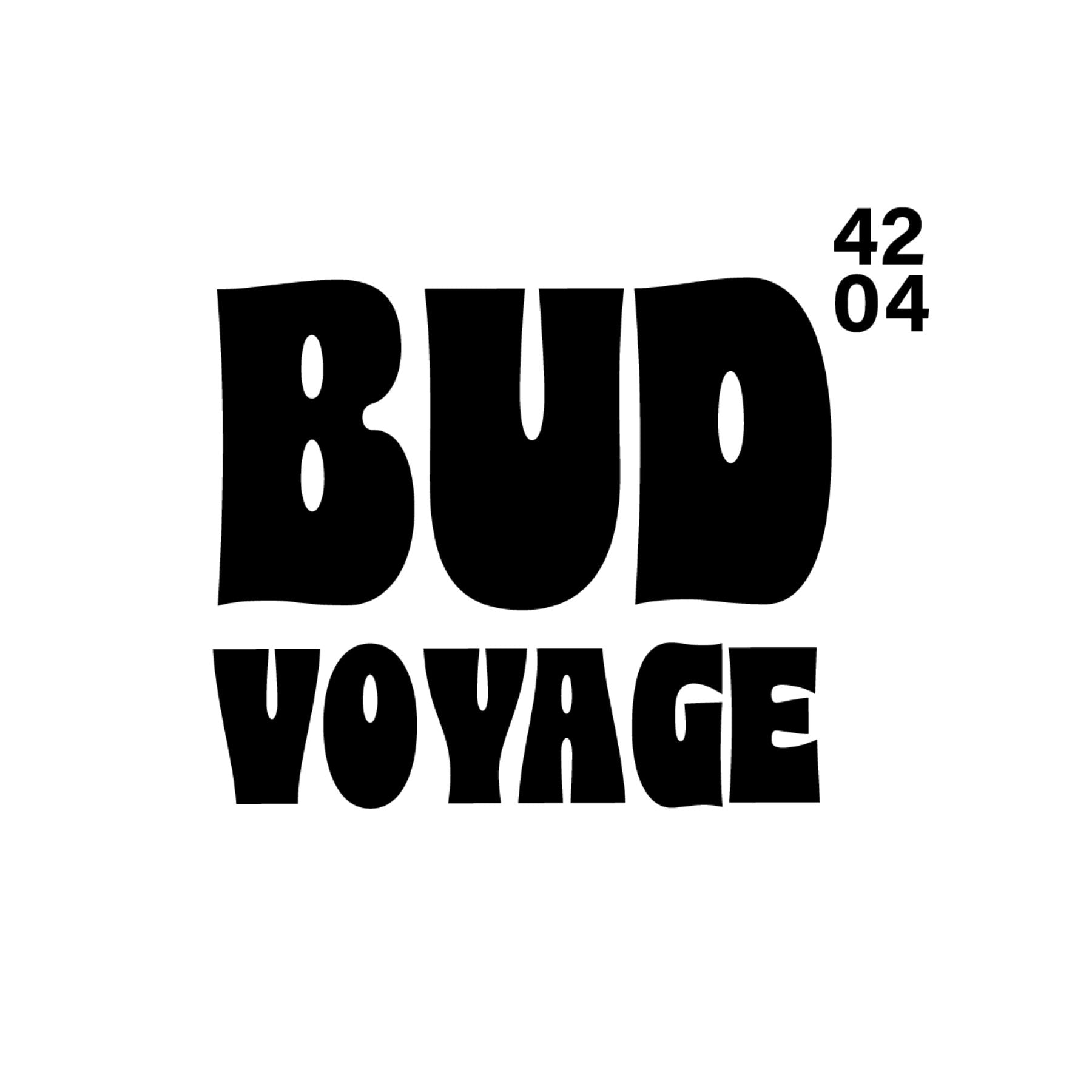 Hanfsamen von Bud Voyage - HANS Brainfood