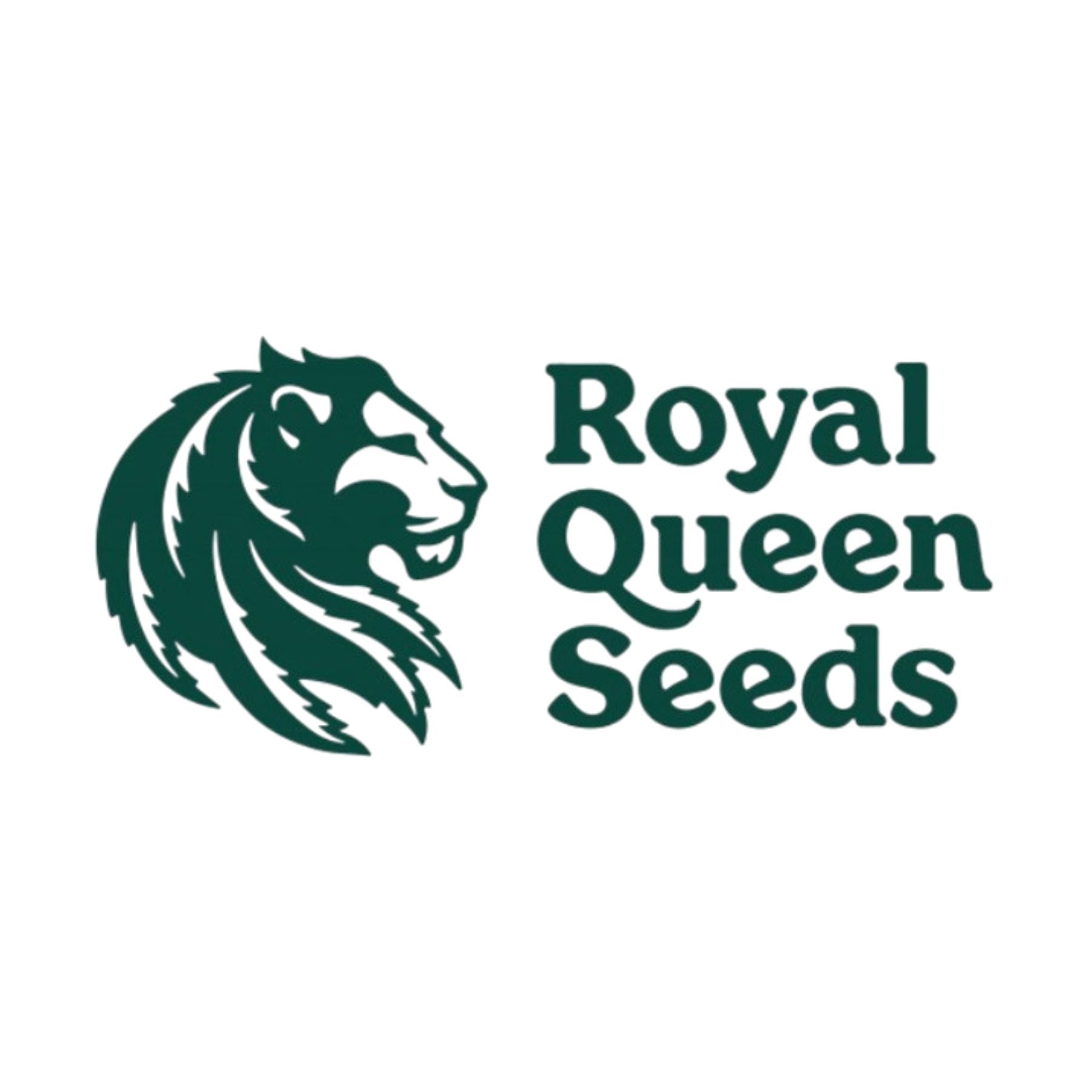 Hanfsamen von Royal Queen Seeds - HANS Brainfood