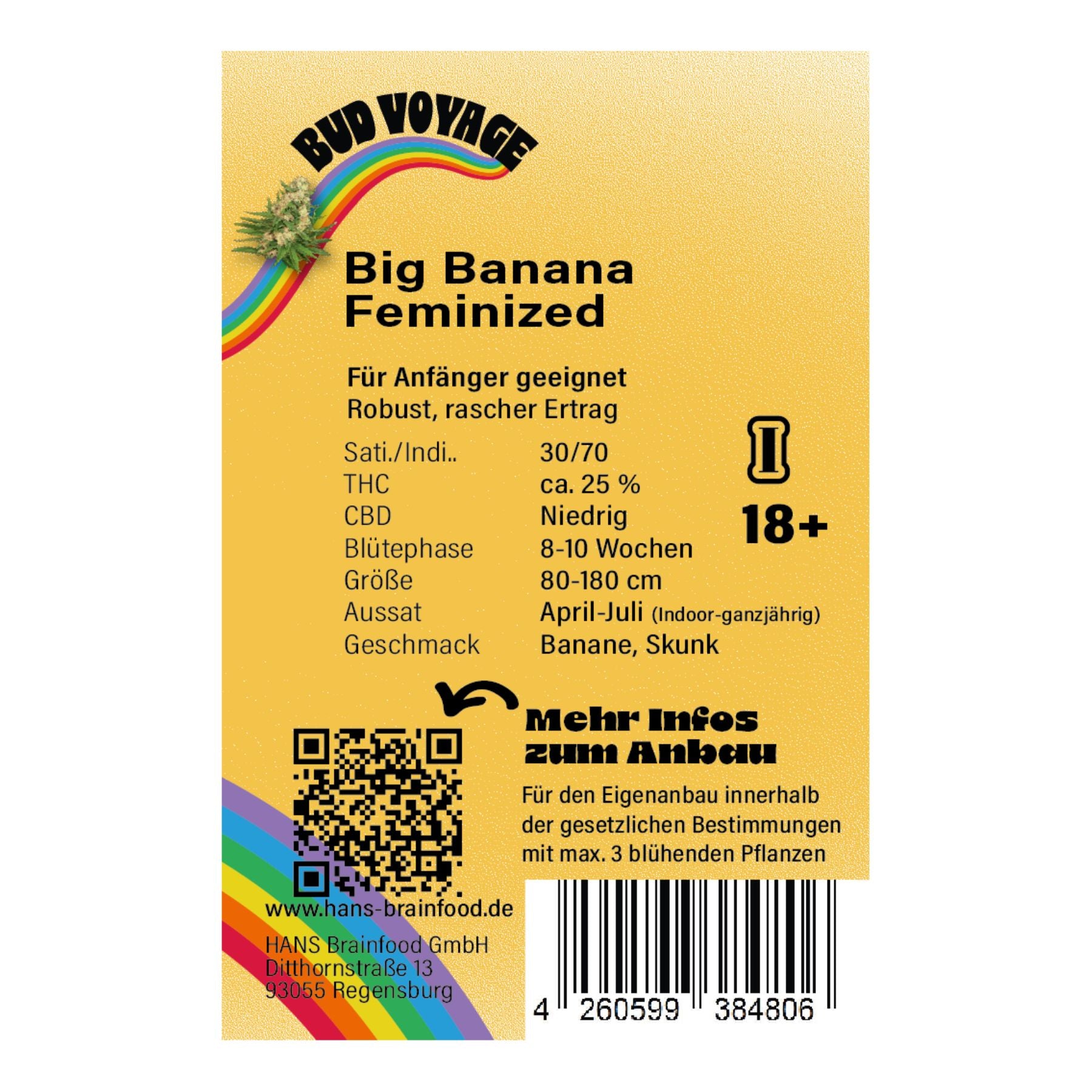 Hanfsamen BudVoyage Big Banana Feminisiert (Beruhigend, stark, großer Ertrag)