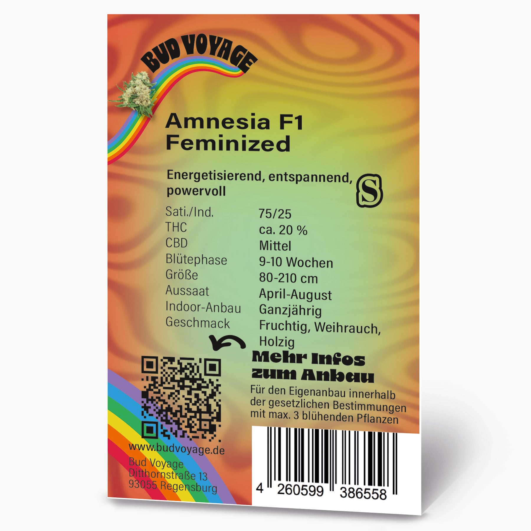 Hanfsamen BudVoyage Amnesia F1 Fem (belebend, kreativ, intensiv)