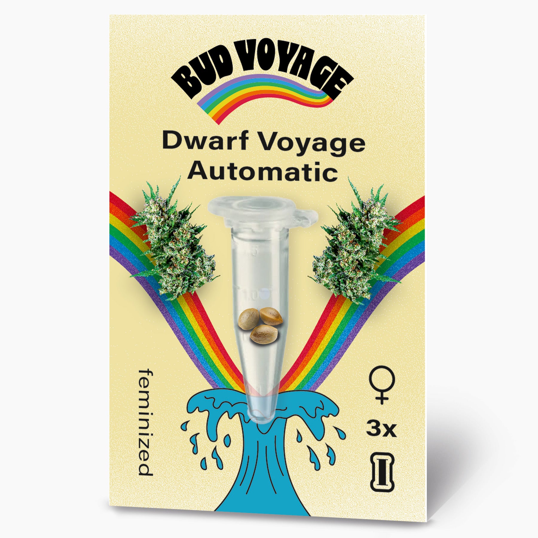 Hanfsamen BudVoyage Dwarf Auto (kreativ, motivierend, Anfänger)