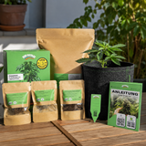 Easy-Growkit BudVoyage - Growset speziell für Automatics - perfekt für Anfänger!