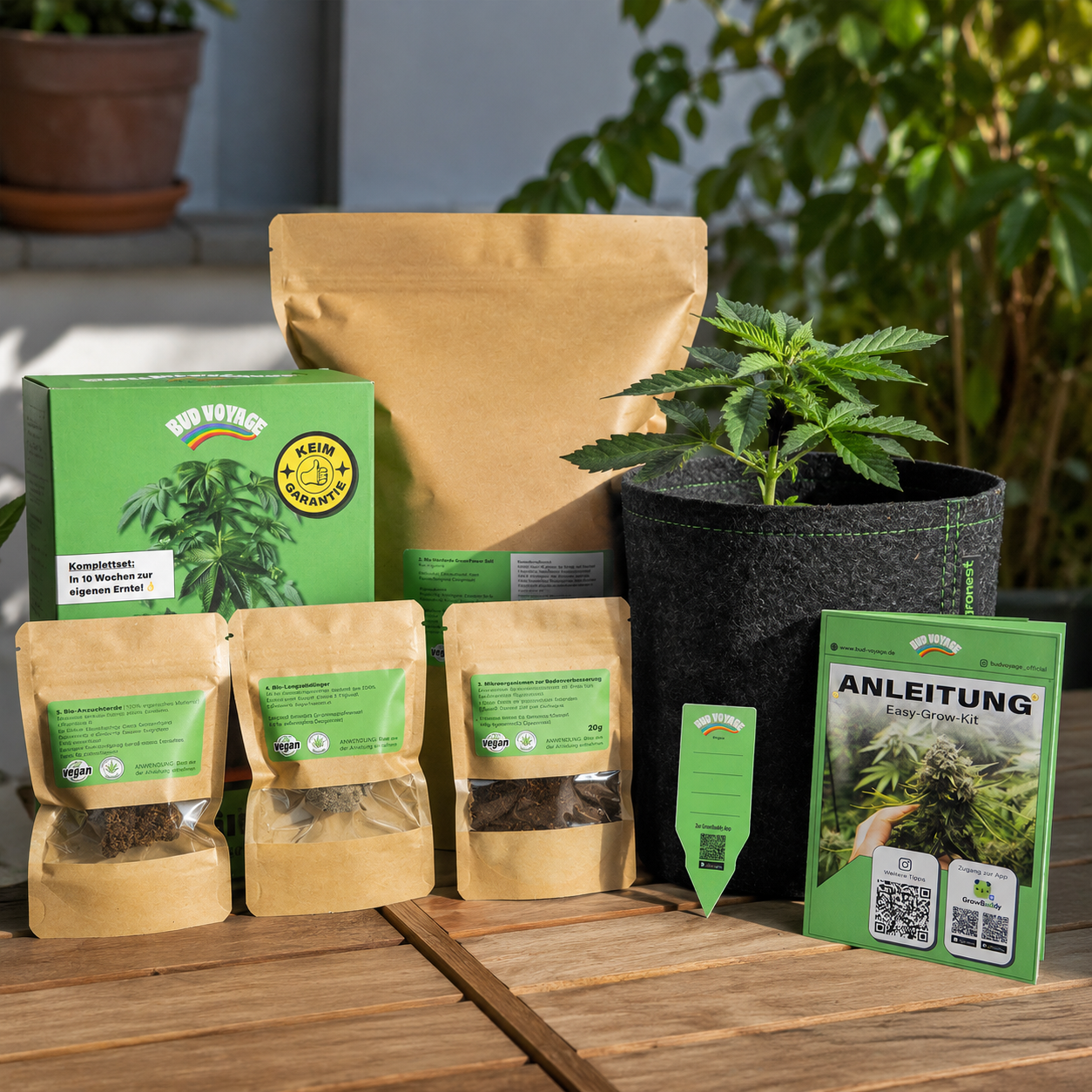 Easy-Growkit BudVoyage - Growset speziell für Automatics - perfekt für Anfänger!