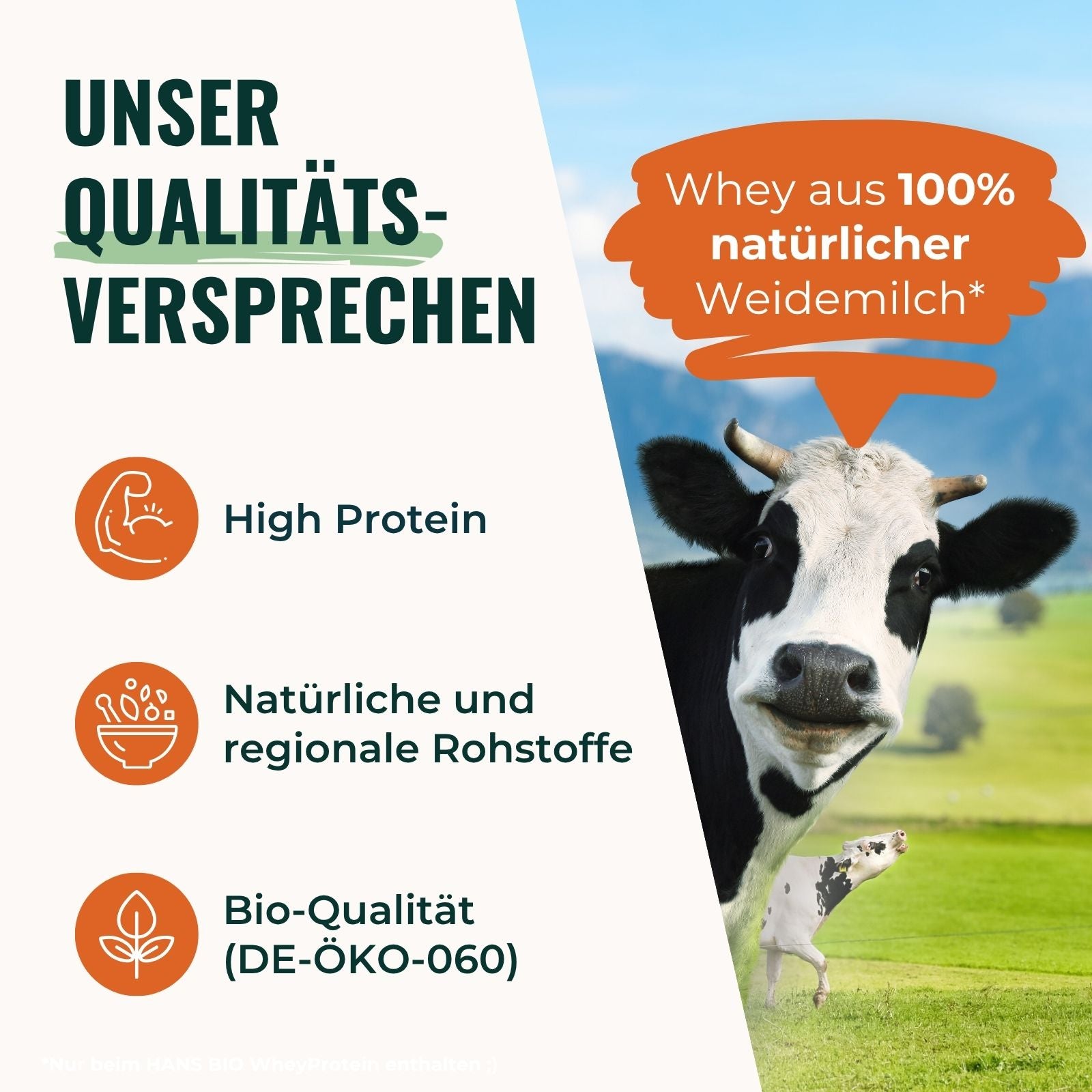 Bio Whey Protein I 80% Proteingehalt | Vegetarisch