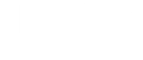 HANS Brainfood