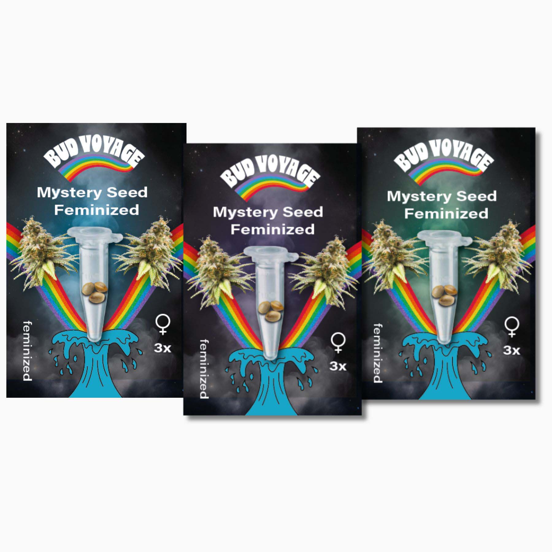 Hanfsamen BudVoyage Mystery Pack - Fem (3x3 Samen)