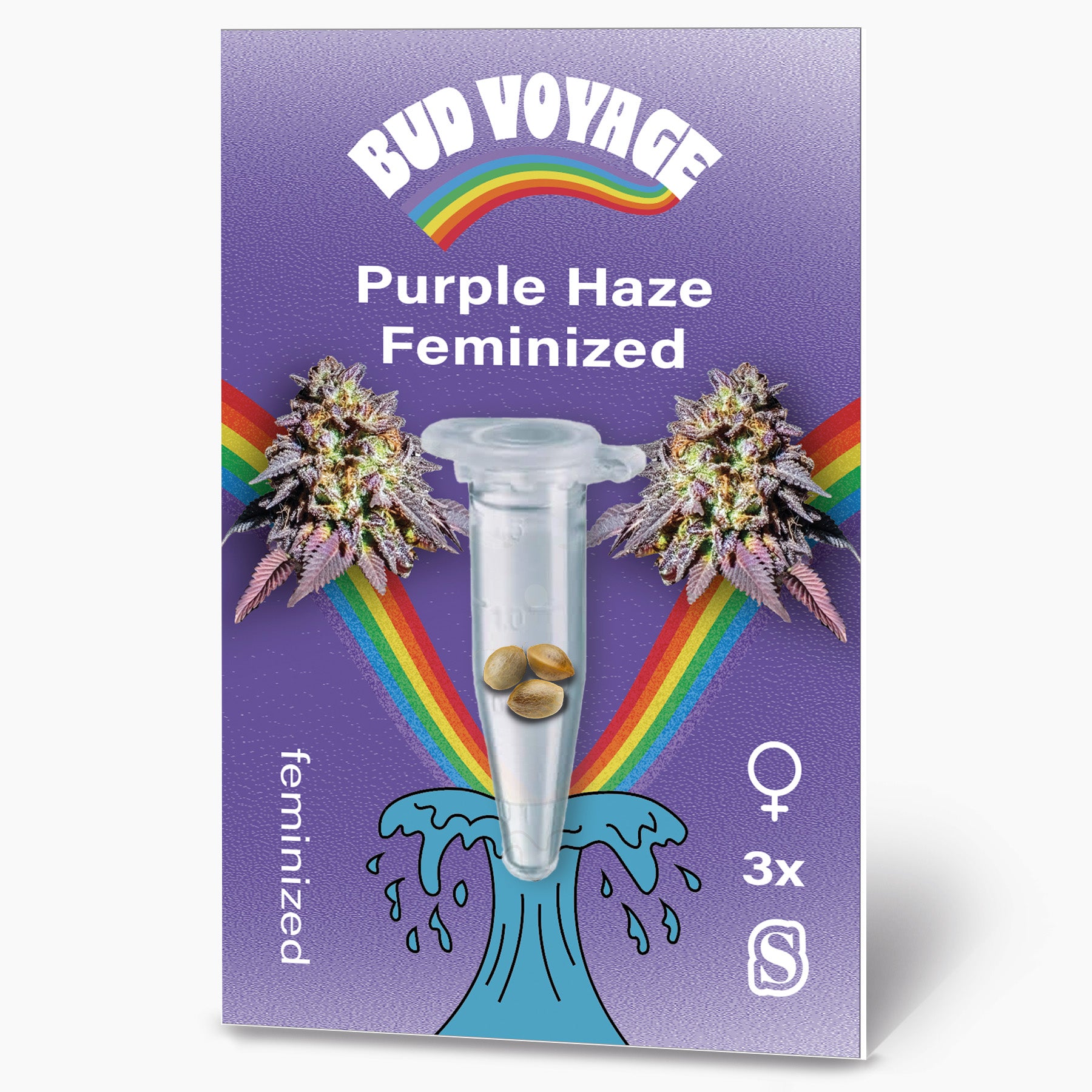 Hanfsamen Purple Haze Fem (euphorisch, happy, relaxed)