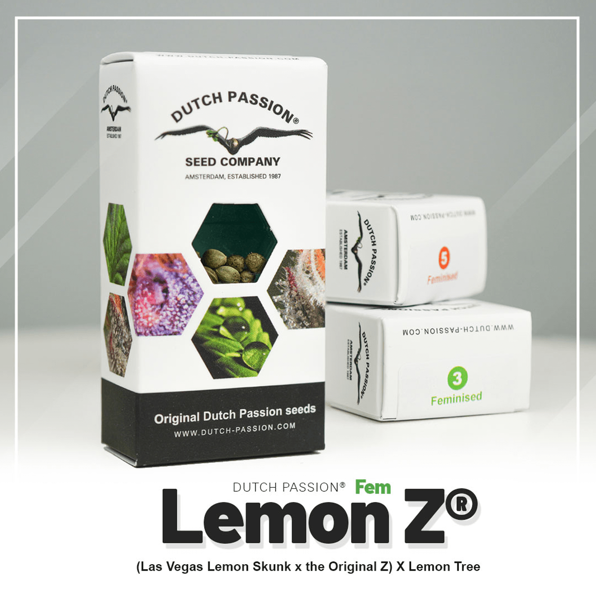 Hanfsamen DP Lemon Z Fem (belebend, kreativ, klar)