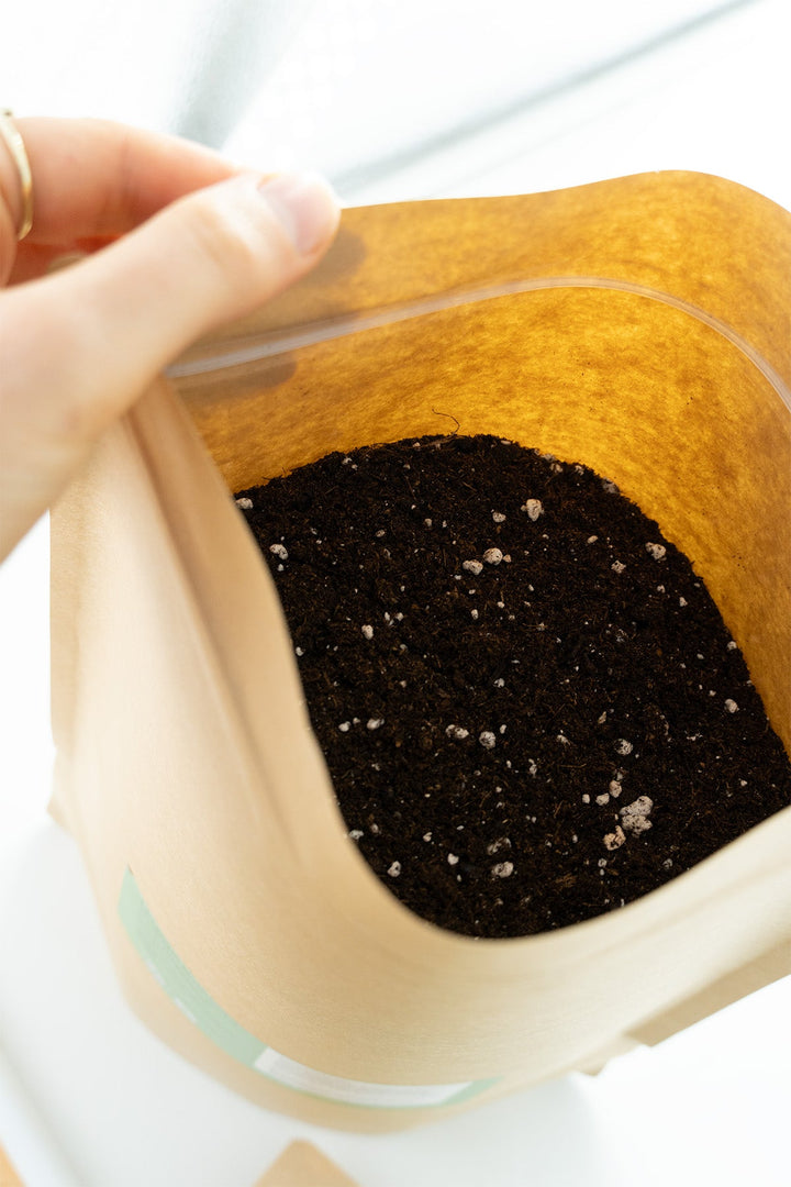 Easy - Growkit BudVoyage - komplettes Growset speziell für Automatics - perfekt für Anfänger! - HANS Brainfood
