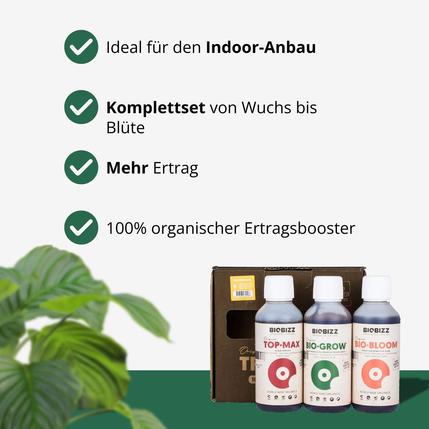 BIOBIZZ Try-Pack Indoor Dünger