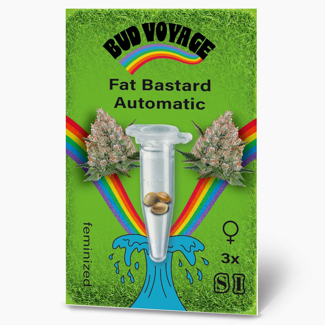 Hanfsamen BudVoyage Fat Bastard AUTO (Euphorisierend, intensiv, stoned) - HANS Brainfood