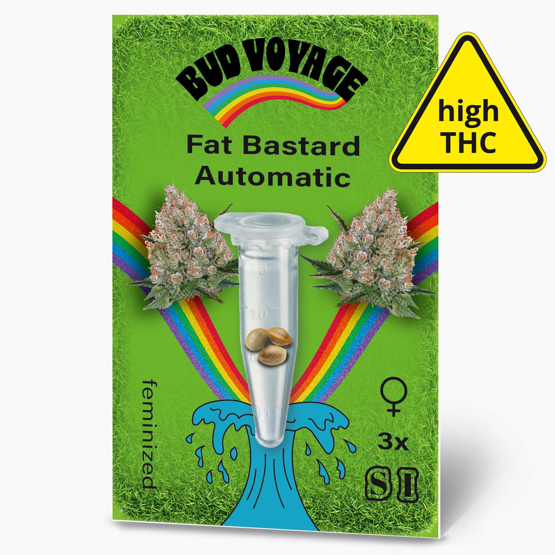 Hanfsamen BudVoyage Fat Bastard AUTO (Euphorisierend, intensiv, stoned) - HANS Brainfood