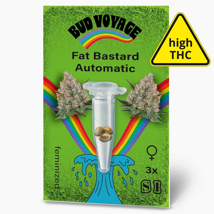 Hanfsamen BudVoyage Fat Bastard AUTO (Euphorisierend, intensiv, stoned) - HANS Brainfood