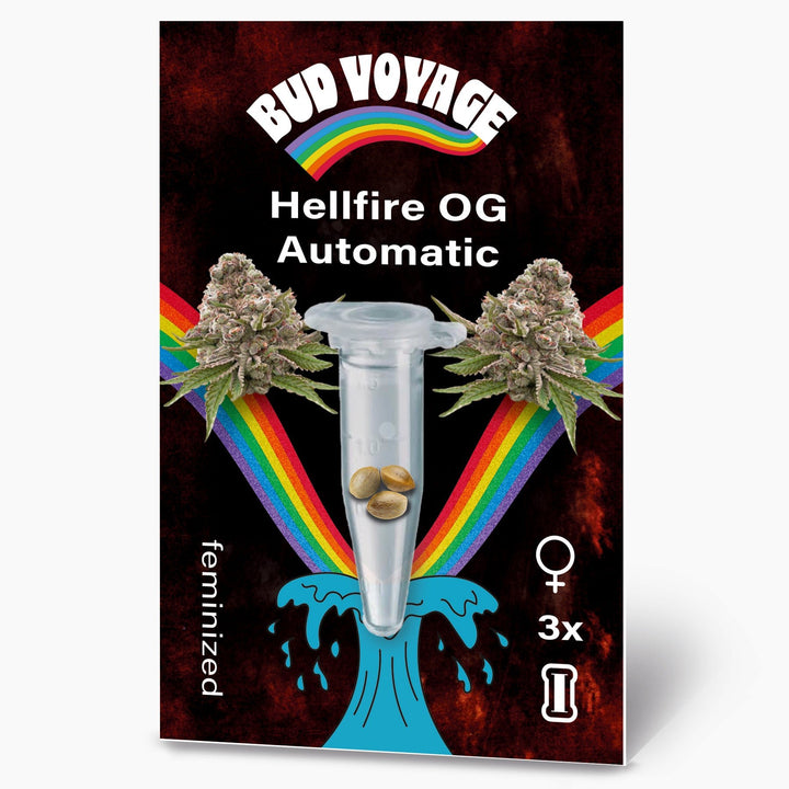 Hanfsamen BudVoyage Hellfire OG AUTO (Stresslindernd, glücklich, euphorisch, entspannend) - HANS Brainfood