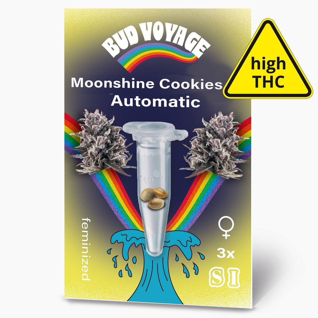 Hanfsamen BudVoyage Moonshine Cookies AUTO (Anregend, gesellig, gelassen) - HANS Brainfood