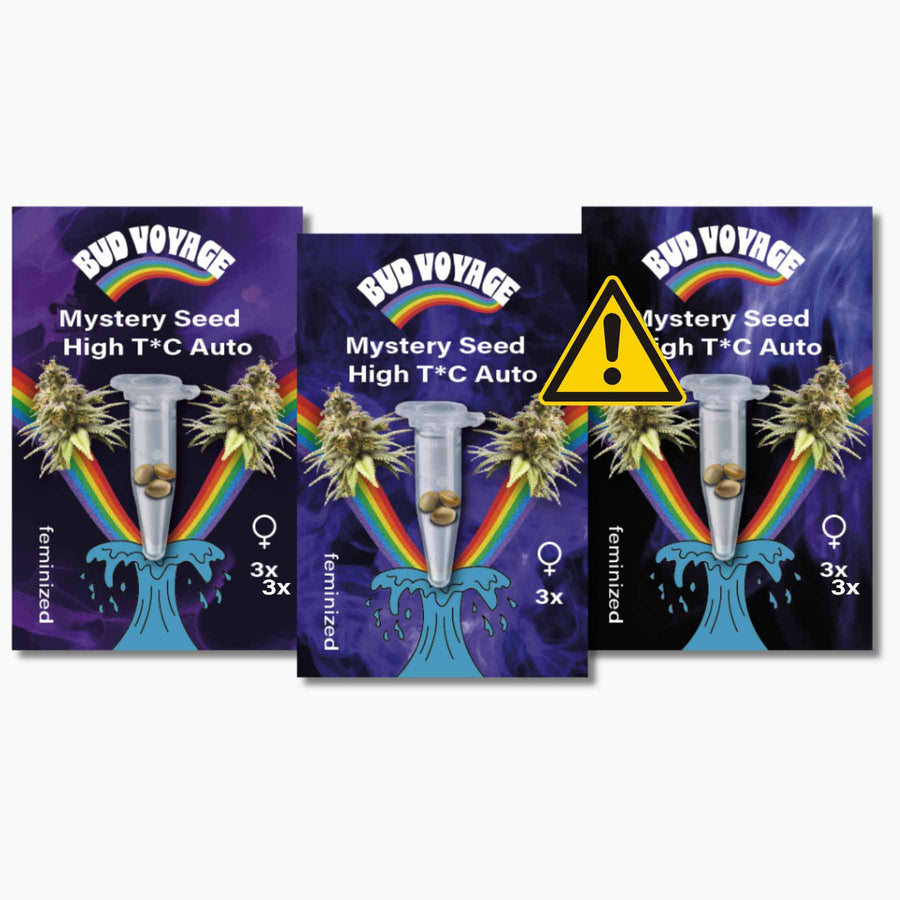 Mystery Packs: bis zu 40 % sparen