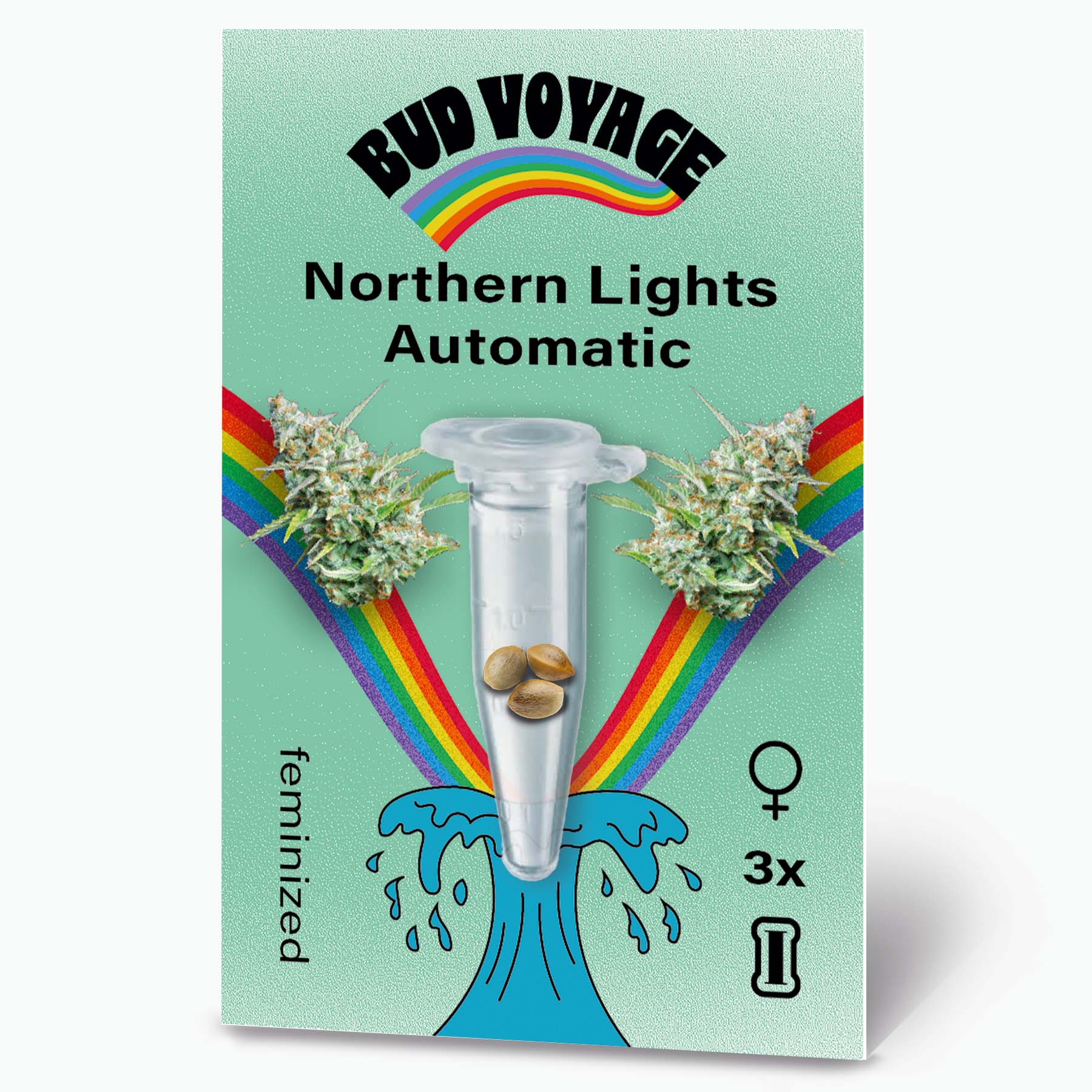 Hanfsamen BudVoyage Northern Lights Auto (beruhigend, entspannend, für Anfänger) - HANS Brainfood