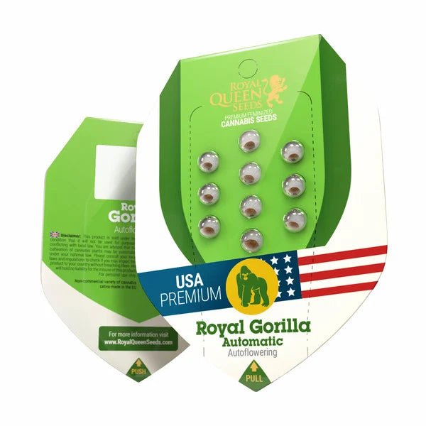 Hanfsamen RQS Royal Gorilla USA Auto (beruhigend, klar) - HANS Brainfood
