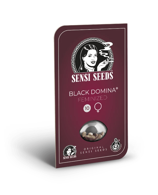 Hanfsamen Sensi Black Domina Fem (würzig, entspannend, sedierend) - HANS Brainfood