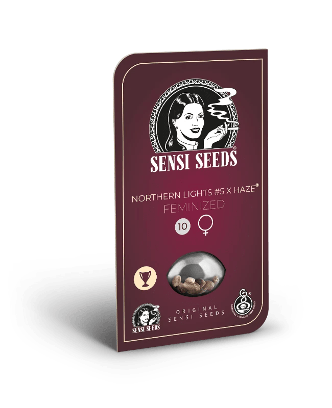 Hanfsamen Sensi Northern Lights 5 X Haze Fem (zitrus, kreativ, entspannt) - HANS Brainfood