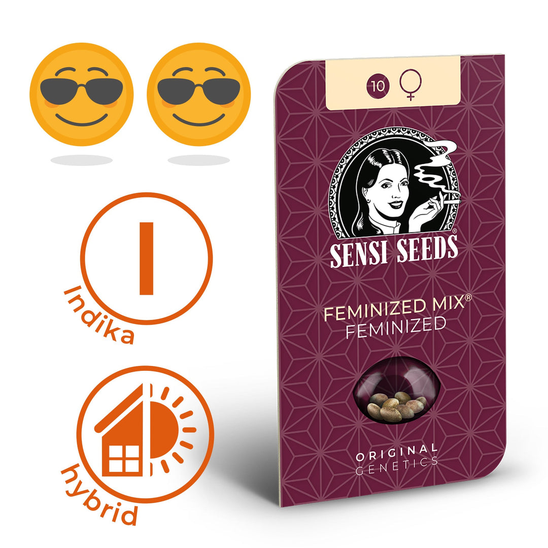 Hanfsamen Sensi Northern Lights Feminized (sehr beruhigend) - HANS Brainfood