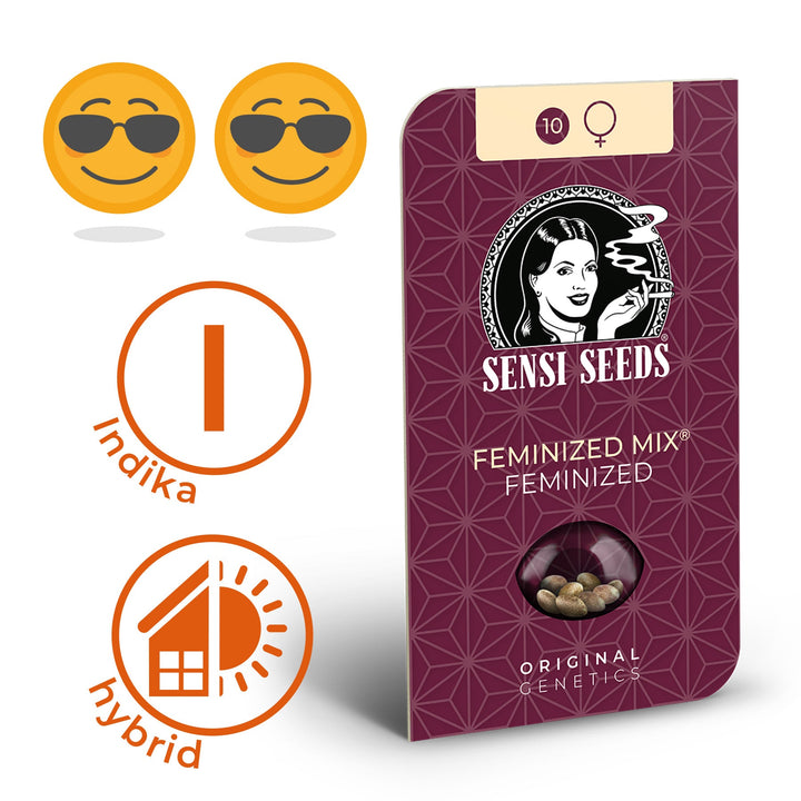 Hanfsamen Sensi Northern Lights Feminized (sehr beruhigend) - HANS Brainfood