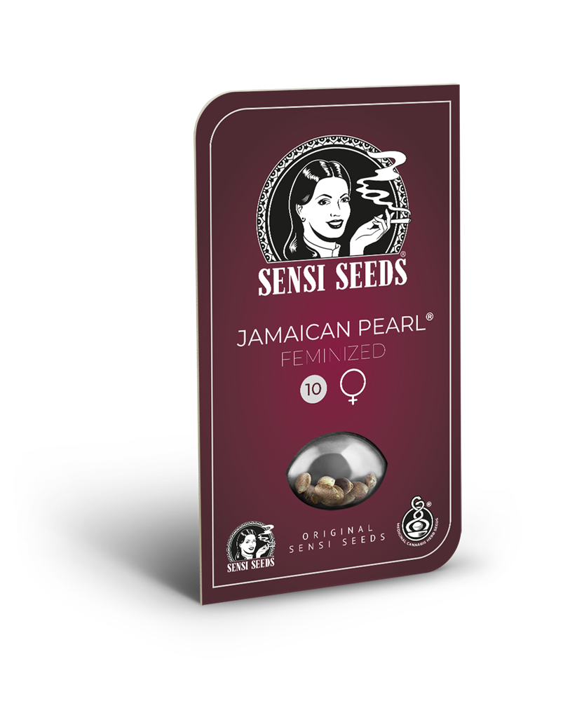 Freigestellte Verpackung von Jamaican Pearl Feminized Hanfsamen und Cannabis Samen zum Anbauen