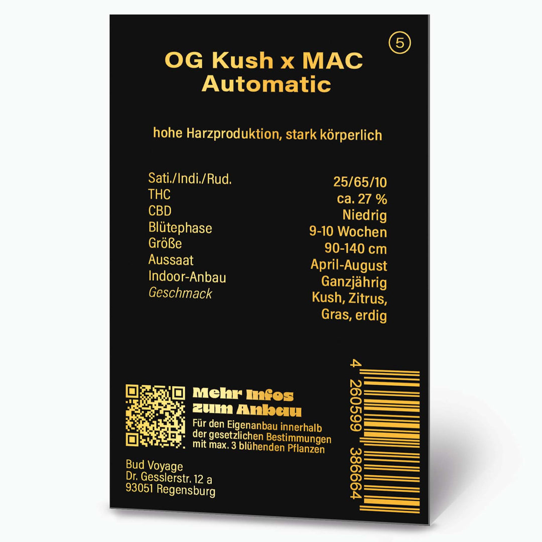 OG Kush X MAC Auto PREMIUM US Hanfsamen von BudVoyage (körperlich, würzig, stark) - HANS Brainfood