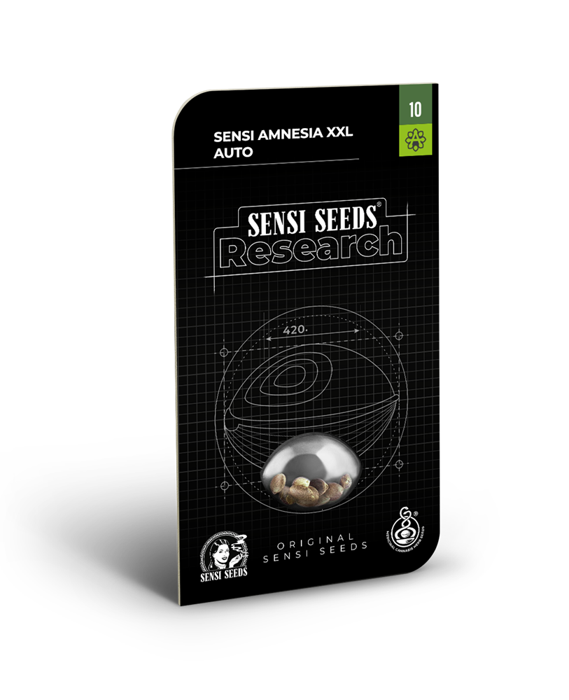 Freigestellte Verpackung von Sensi Amnesia XXL Auto Hanfsamen und Cannabis Samen zum Anbauen