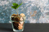 So kannst Du mit Deinem Investment Gewinne erwirtschaften - HANS Brainfood