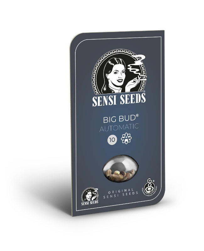 Hanfsamen Sensi Big Bud Auto (süß, entspannend, euphorisch)