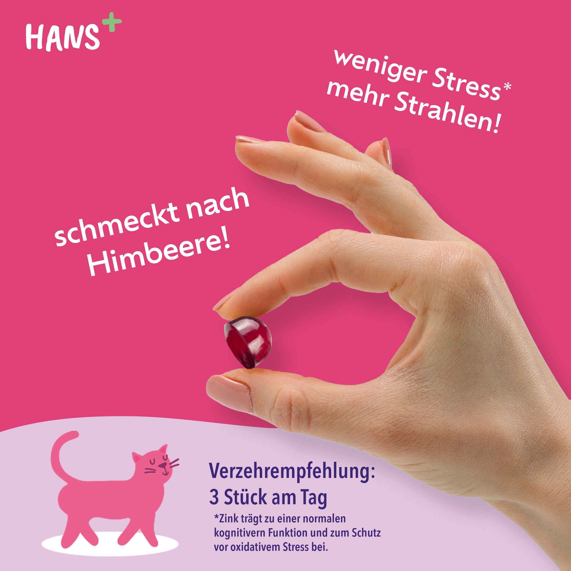 Reklamní grafika Hans+: Ruka drží lesklého gumového medvídka malinové barvy na růžovém pozadí s růžovým koťátkem a sloganem méně stresu více paprsků.
