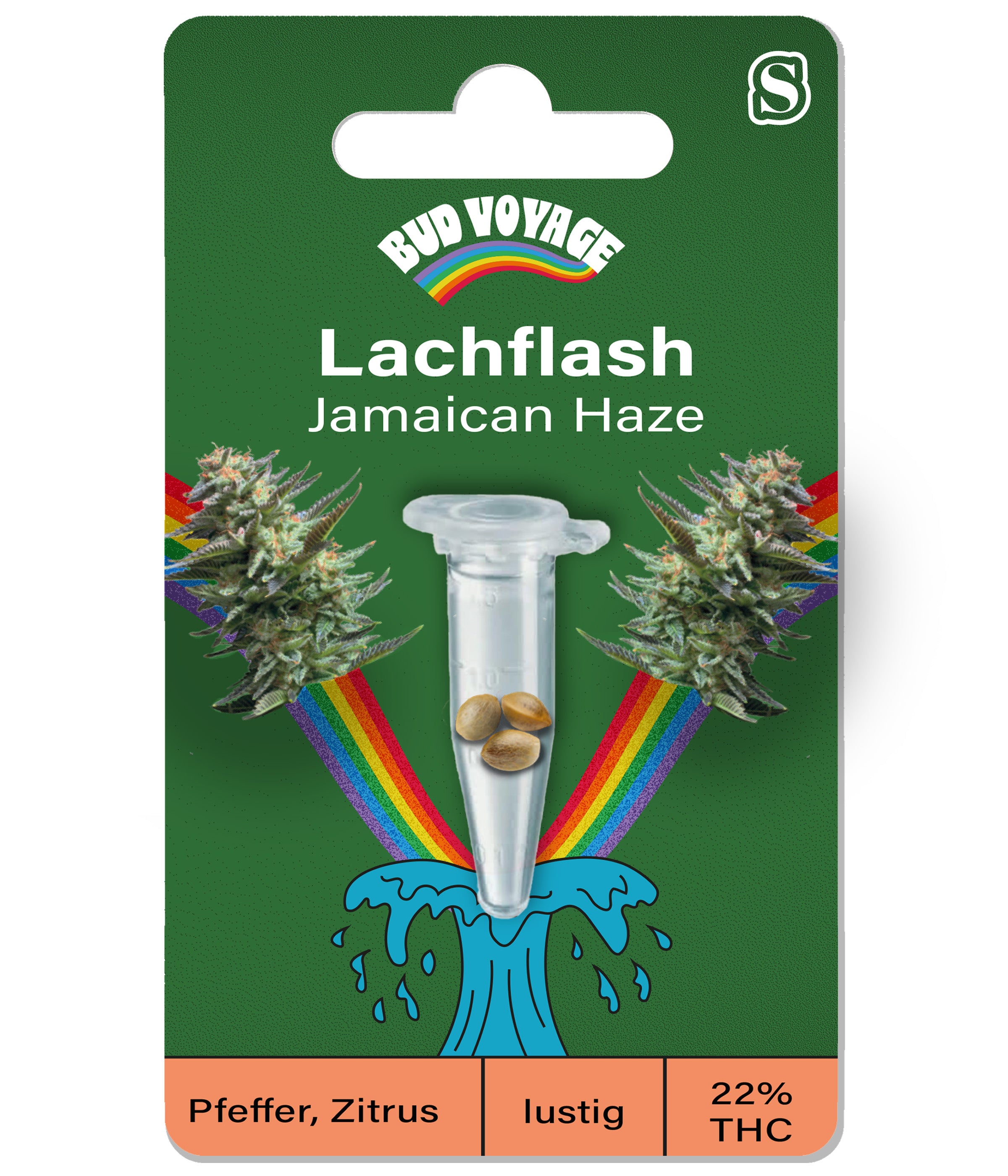 Semena konopí BudVoyage Lachflash Fem (Sativa, Relaxační, Zábavné) - POS ONLY
