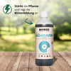 Snímek produktu Biobizz Bio-Heaven aminokyselinové kapalné hnojivo na rozmazaném zeleném pozadí, na kterém je tmavě hnědá láhev se světle modrým logem a bílými detaily na etiketě.
