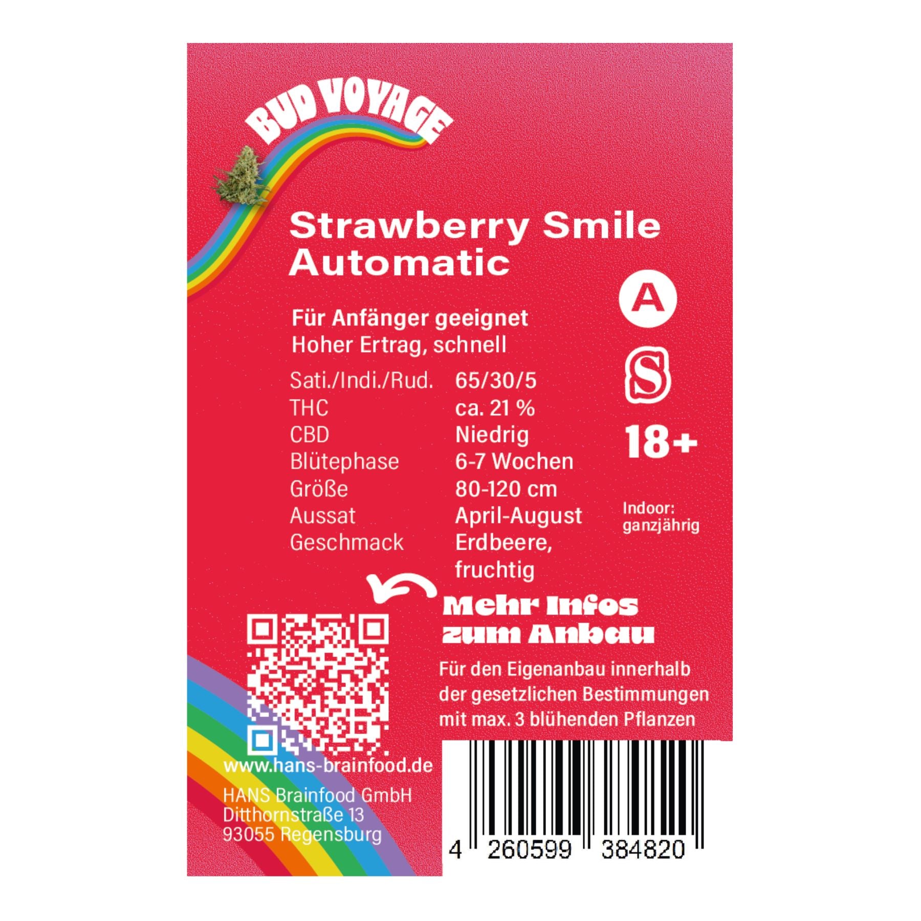Grafik von Hans Brainfood GmbH zeigt die Cannabis-Sorte Strawberry Smile Automatic mit einem Regenbogen, QR-Code und Barcode, sowie Angaben zu THC-Gehalt und Blütezeit
