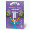 Bud Voyage grafický design s konopnými semínky Amnesia Haze Feminizovaná konopná semínka tři semínka ve zkumavce zářivá duha a stylizovaný design vlny

