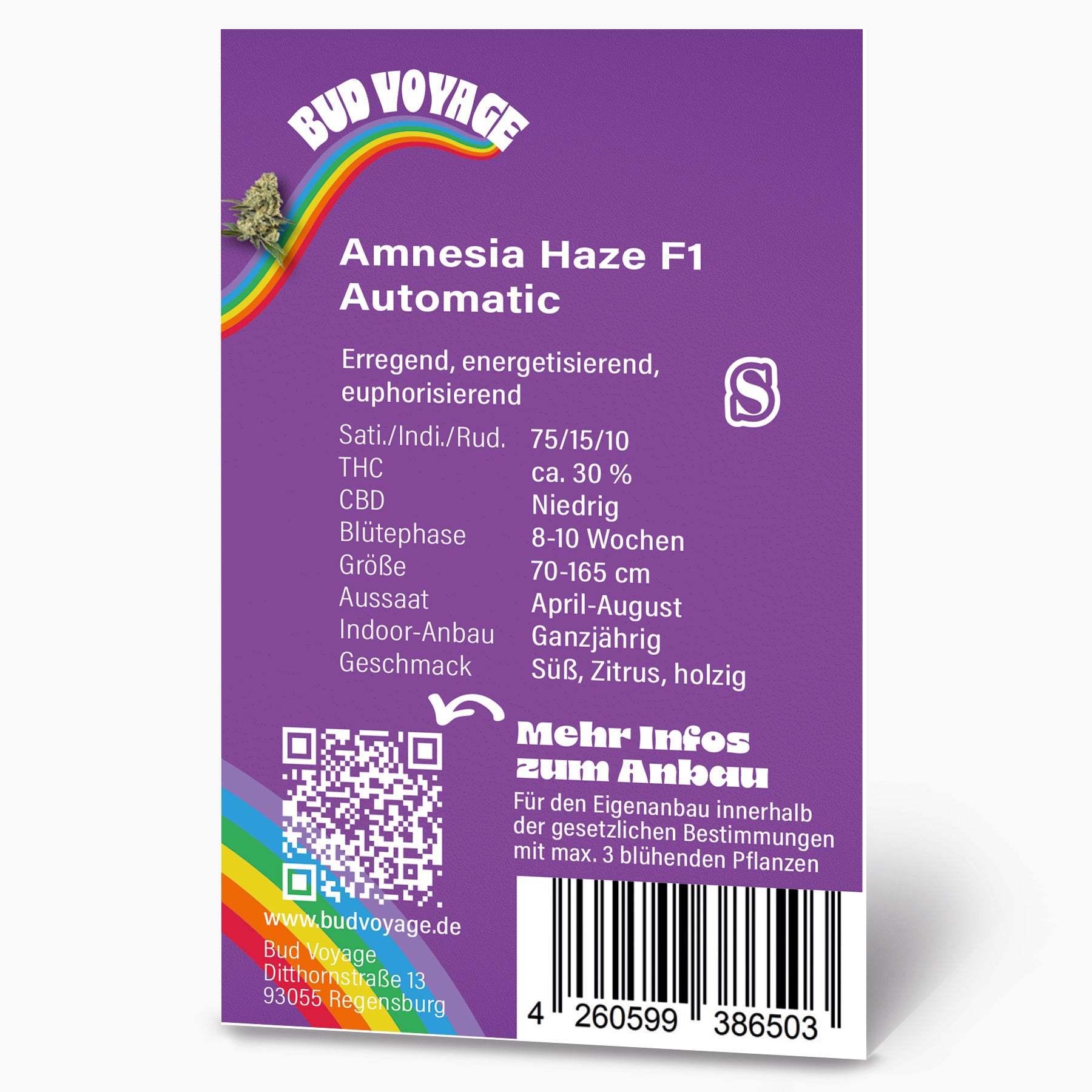 Bud Voyage Grafikdesign: Amnesia Haze F1 Automatic Hanfproduktinformationen mit Regenbogen, QR-Code und Barcode auf lila Hintergrund
