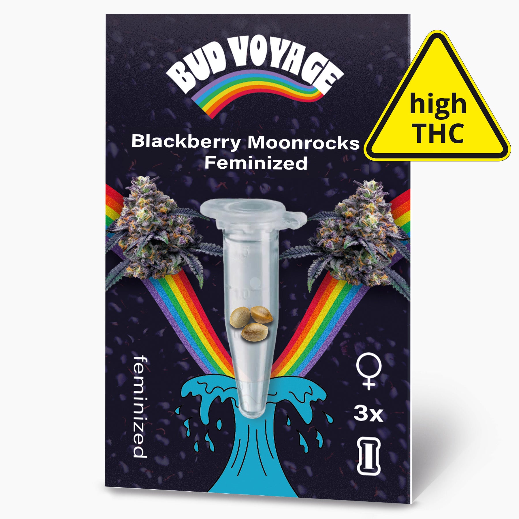 Grafika produktu Bud Voyage zobrazuje feminizovaná semena Blackberry Moonrocks v mikrozkumavce před duhovými a modrými vlnami s fialovými květy a třemi semeny v zářivých barvách.
