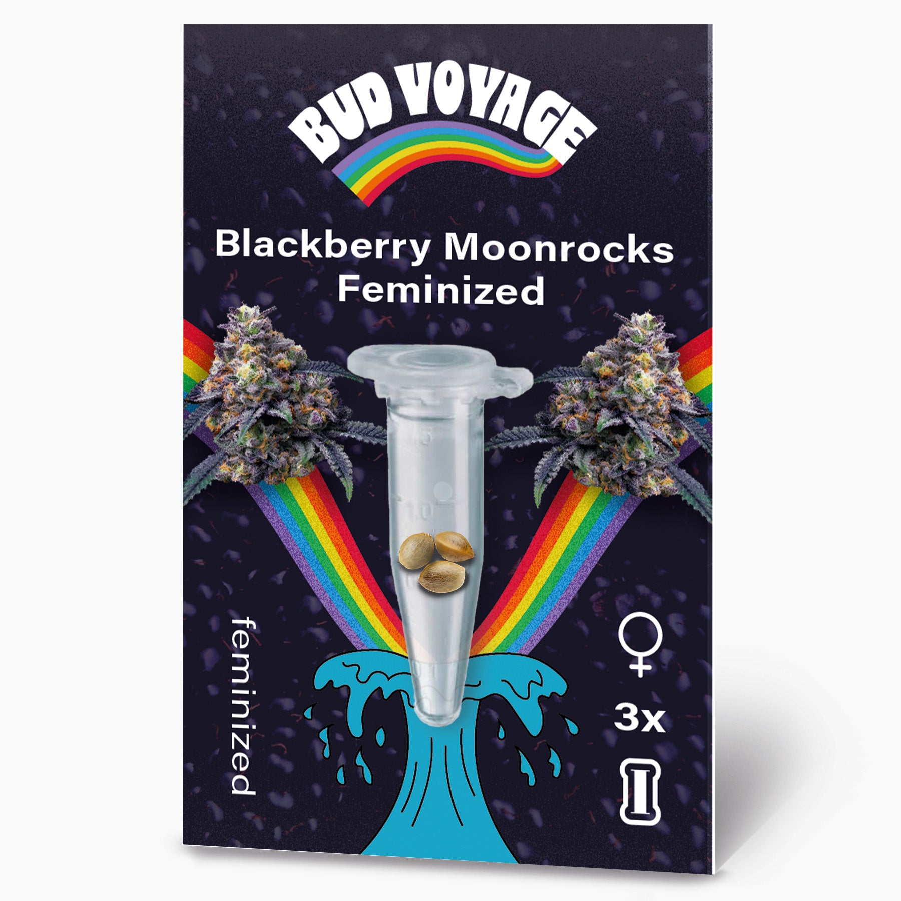 Bud Voyage Grafikdesign: feminisierte Blackberry Moonrocks Samen in einer Mikro-Reagenzglas, umgeben von Regenbögen und maritimen Motiven, auf dunklem Hintergrund drei Samen sichtbar
