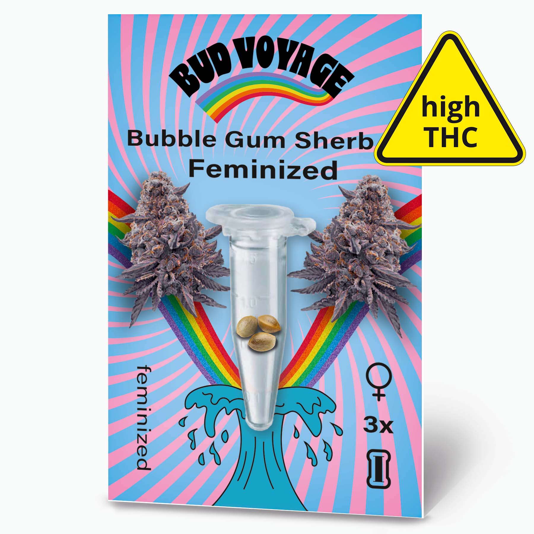 Kolekce semen Bud Voyage: obrázek zobrazuje feminizované květy konopí Bubble Gum Sherb s fialovými akcenty, tři semena ve zkumavce a duhu na světle modrém pozadí.