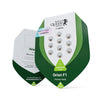 Obrázek produktu od Royal Queen Seeds: samonakvétací semena Orion F1 v zelenobílém balení s dvanácti kapslemi se semeny a logem lva na bílém pozadí.
