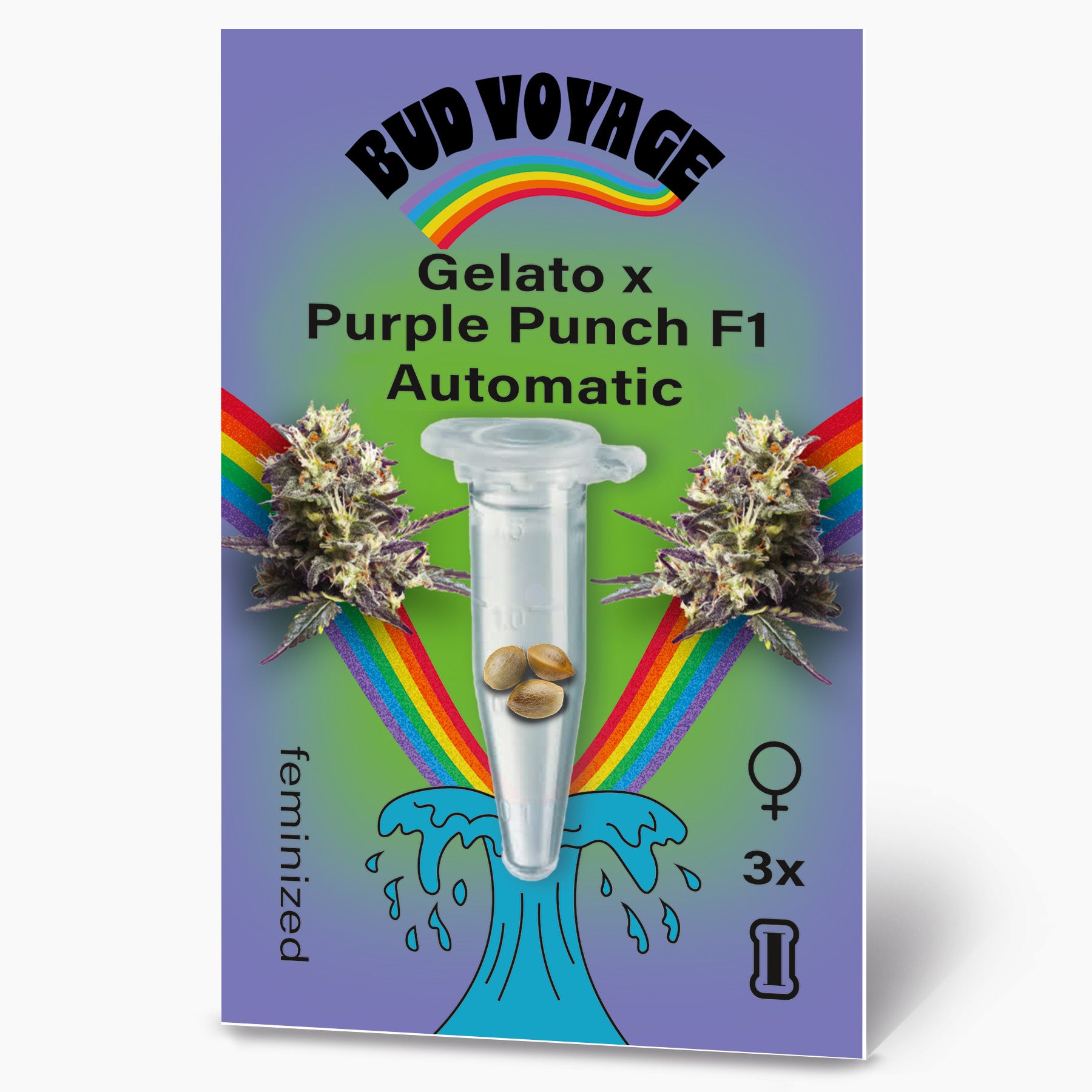 Digitální ilustrace od Bud Voyage: Gelato x Purple Punch F1 Automatická semena s duhovými květy marihuany a třemi semeny v průhledné tubě na zeleném pozadí.