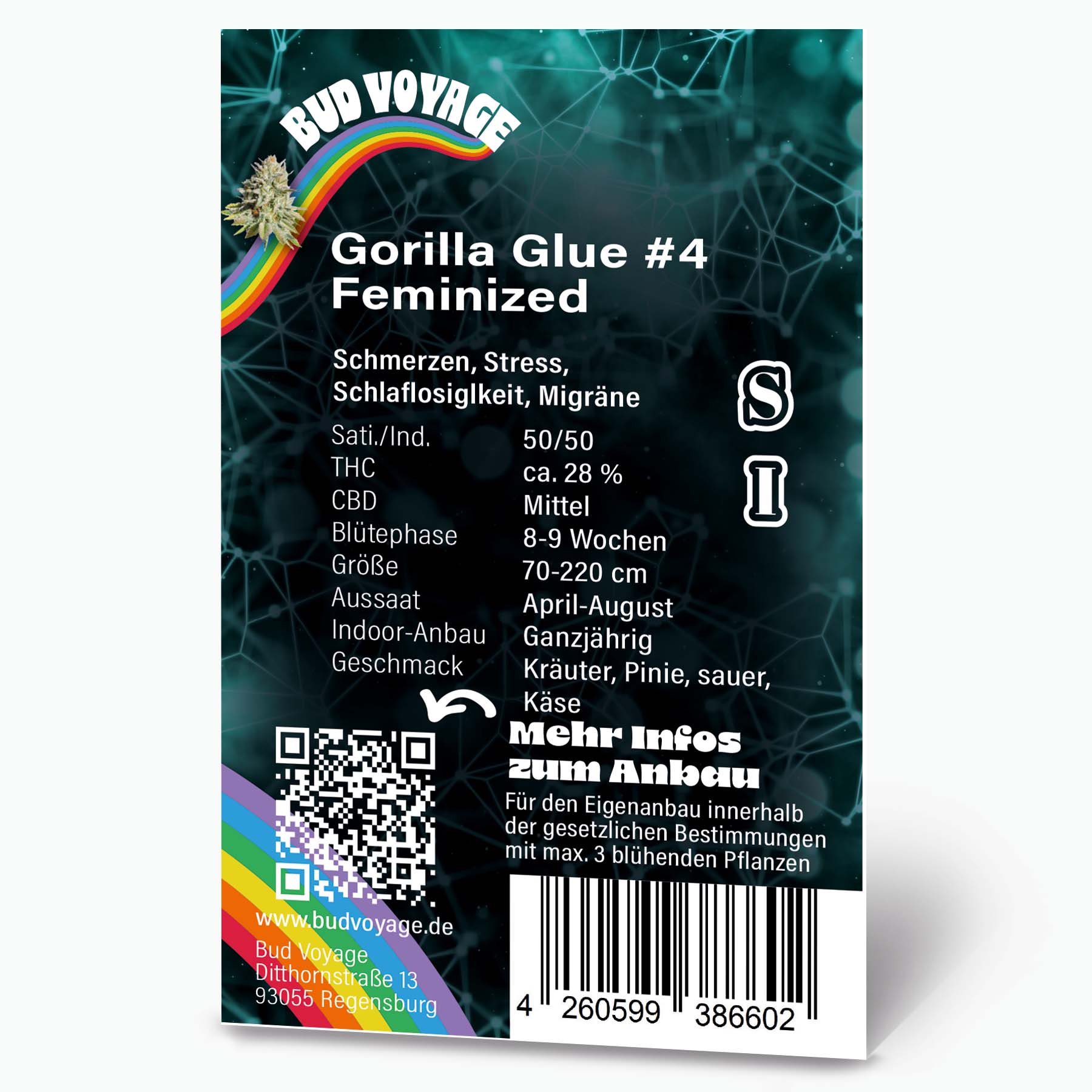 Bud Voyage graphic design featuring Gorilla Glue #4 feminized cannabis strain with a vibrant rainbow, teal network background, and QR code for more info.
